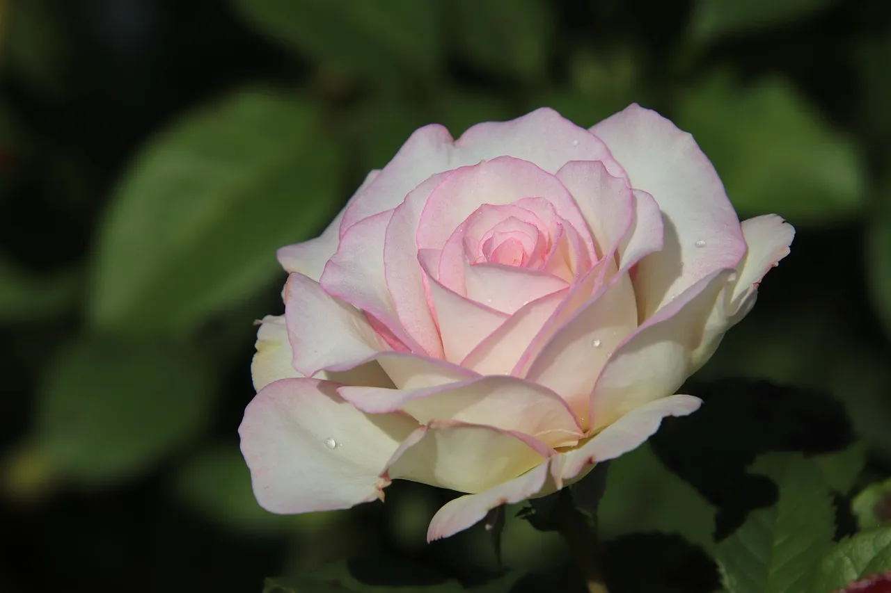 La Bible des couleurs : signification
