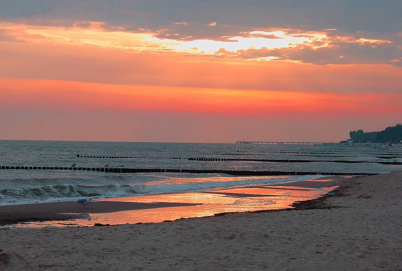 beach-815303_640
