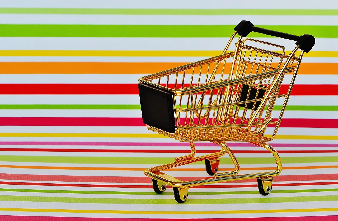 Ecommerce : halte aux sites catalogues à rallonge!!!